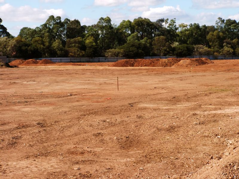 Initial Site Assessment